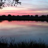 0309F 71 Marschlandschaft